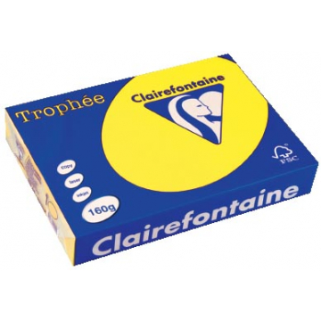 Clairefontaine Trophée Intens A4 zonnegeel, 160 g, 250 vel