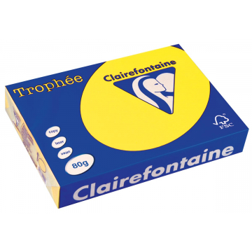 Clairefontaine Trophée Intens A4 zonnegeel, 80 g, 500 vel