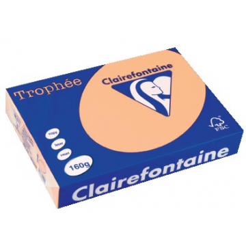 Clairefontaine Trophée Pastel A4 zalm, 160 g, 250 vel